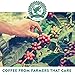 Tayst Coffee Pods | 50 ct. Medium Sample Box | 100% Compostable Keurig K-Cup compatible | Gourmet Coffee in Earth Friendly packaging