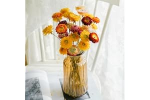 SAIPRO Natural Dried Straw Flowers Daisy -24 Pcs, Multicolor Daisies Artificial Sunflowers Chrysanthemum, Orange Flowers Arrangements for Vase, Home Office Wedding Table Centerpiece Farmhouse Christmas Decor