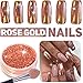 Rose Gold Nail Mirror Powder,DANCINGNAIL Mirror Chrome Effect Pigment Nail Art 2G/BOX