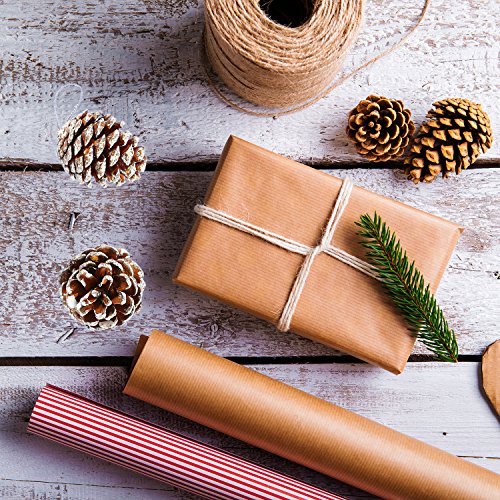 Coobey 24 Pieces Christmas Pine Cones Ornament Natural PineCones With String Pendant Crafts for Gift Tag Christmas Tree Party Hanging Decoration (Snow)