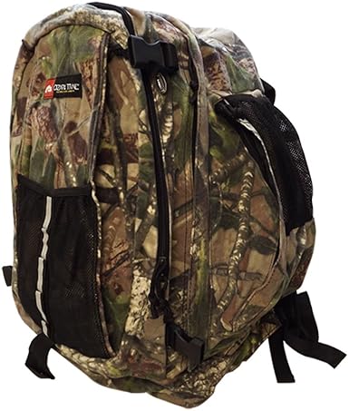 ozark trail lunch box backpack
