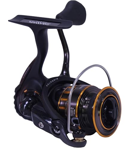 Daiwa BG2000 BG Saltwater Spinning Reel : Sports & Outdoors