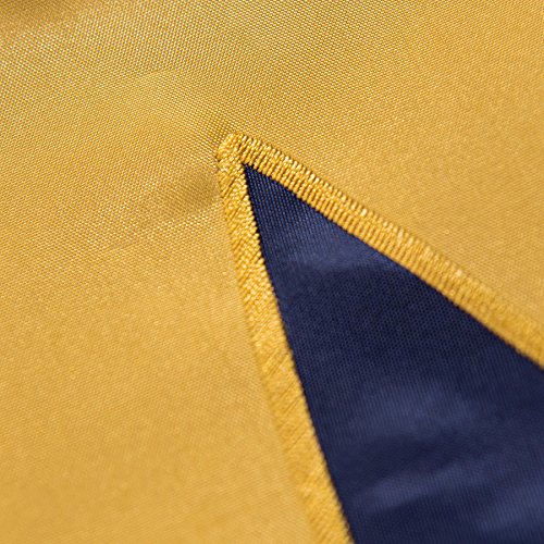 College Flags & Banners Co. Notre Dame Fighting Irish 2x3 Foot