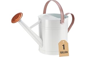 CherHome Watering Can for Outdoor Plants&Indoor Plants,Plant Watering Pot 1 Gallon with Removable Spout,Metal Flower Garden Water Can Watering Pot,Galvanized Steel Watering Can Outdoor，White