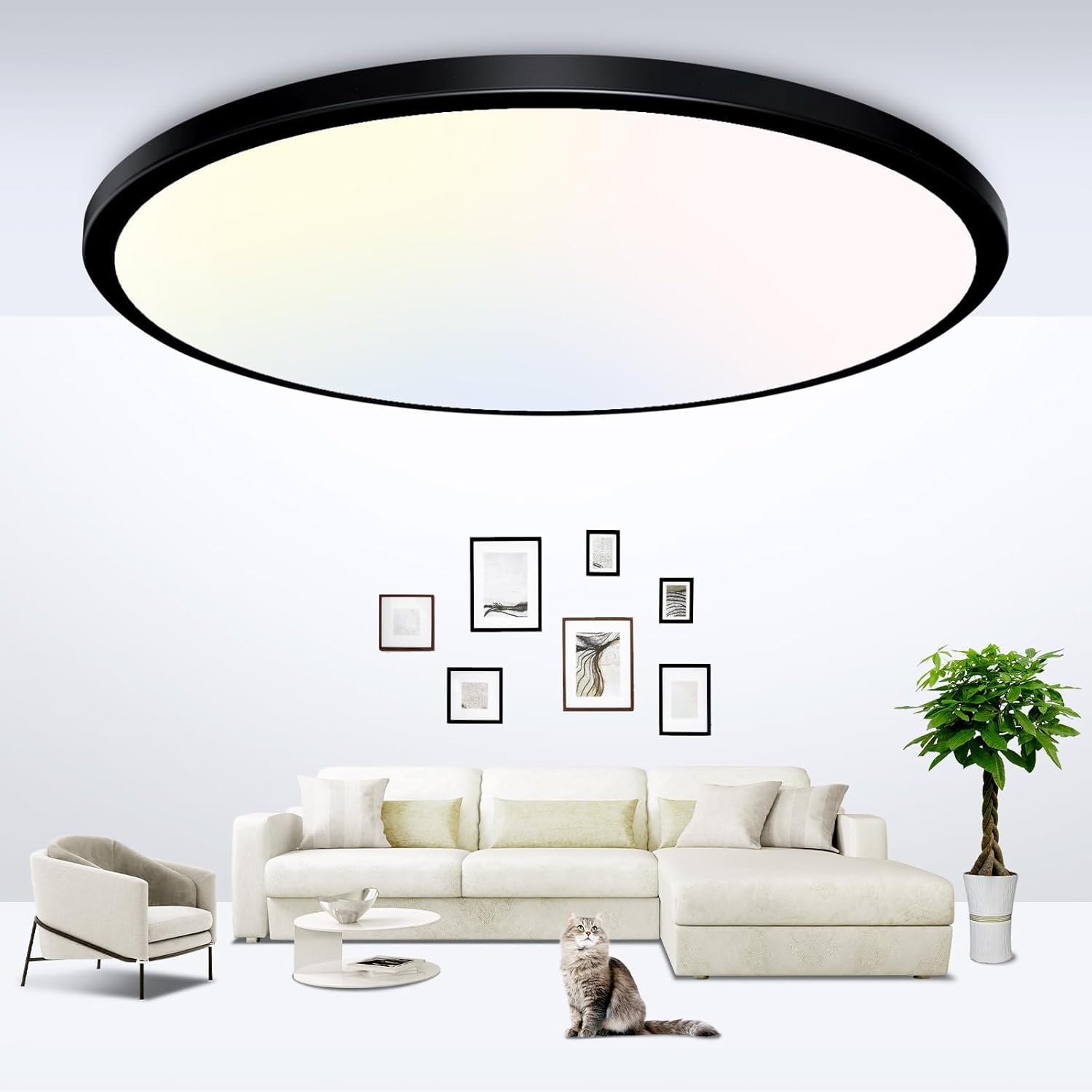 zemty 23 Inch LED Flush Mount Ceiling Light, Super Slim 56W 5040lm LED Ceiling Light, 3 Color Temperature in One 3000k/4500k/6000K Round Light Fixture for Bedroom, Kitchen, Dining Room (Black) Image
