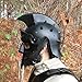Armory Replicas Maximus Roman Gladiator Blackened 18g Helmet