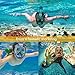 DOUPRO HENGBIRD Snorkel Mask Universal Size Easybreath Snorkeling Mask 180° Panoramic View Ear Pressure Balance Anti-Fog Anti-Leak Fit Perfectly and Comfortably for All - 2018 Latest Upgrade