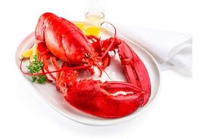 FOR THE GOURMET Live New England Lobster, 4-6 lb avg, 10 lb Case - Fresh Gourmet Lobsters for Chefs and Culinary Enthusiasts