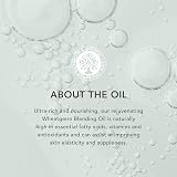 Tisserand Wheatgerm Pure Blending Oil 100ml Ethically Harvested Carrier Oil view 3