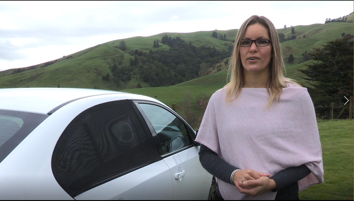 6 TFY+Universal+Side+Window+Shade