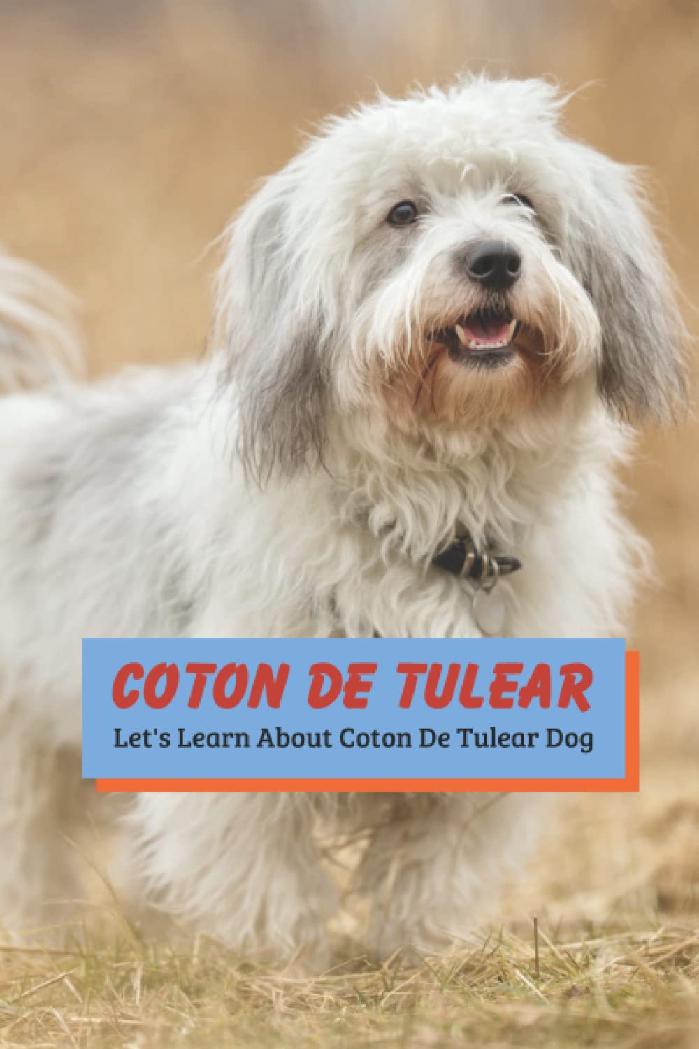 coton de tulear shampoo