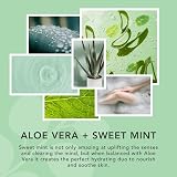 Sunday Rain Moisturising Body Lotion Mist Aloe Vera Sweet Mint Vegan Cruelty view 3