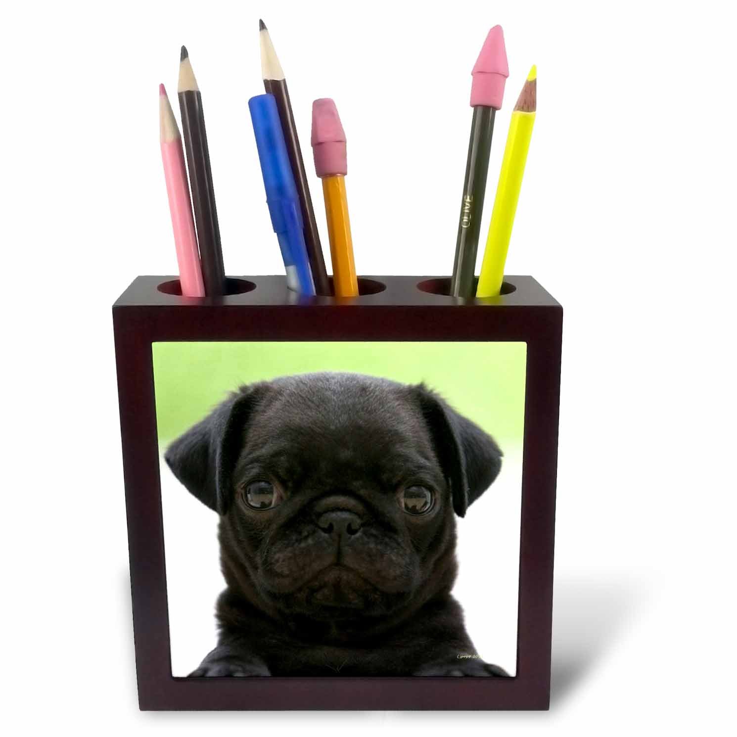 3dRose Pug Puppy, 5-Inch (Ph_21198_1), 5 inch Tile Pen Holder
