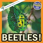 Beetles!: A My Incredible World Picture Book for Children (My Incredible World: Nature and Animal Picture Books for Children)