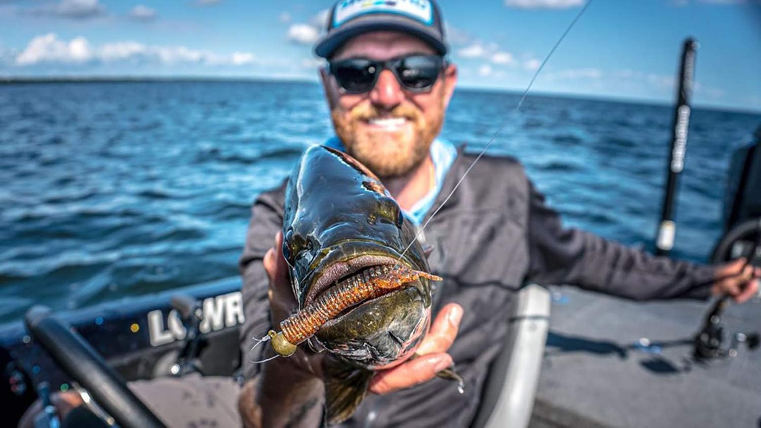 10000 fish sukoshi bug