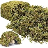 Riare 14OZ Natural Moss Artificial Fake Moss Alternative for Plants Indoor | Premium Faux Craft Moss for Potted Plant, Green Moss for Fairy Garden Vase Filler Terrarium Centerpieces Forest Decor