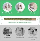 OSDUE Catnip Sticks Cat Teething Toys 12pcs Natural Wood Chews for Teeth view 5