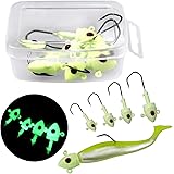 Fishing Jigs, 10Pcs 7g 10g 14g 20g (1/4oz)/(3/8oz)/(1/2oz)/(7/10oz) Glow Fishing Lures Attractive Luminous Glow Lead Fishing Jig Heads Bass Salmon Trout Fishing Glow Jigs