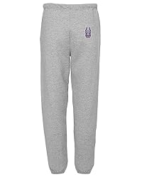 LOGOVISION University of Albany Primary Logo Mens