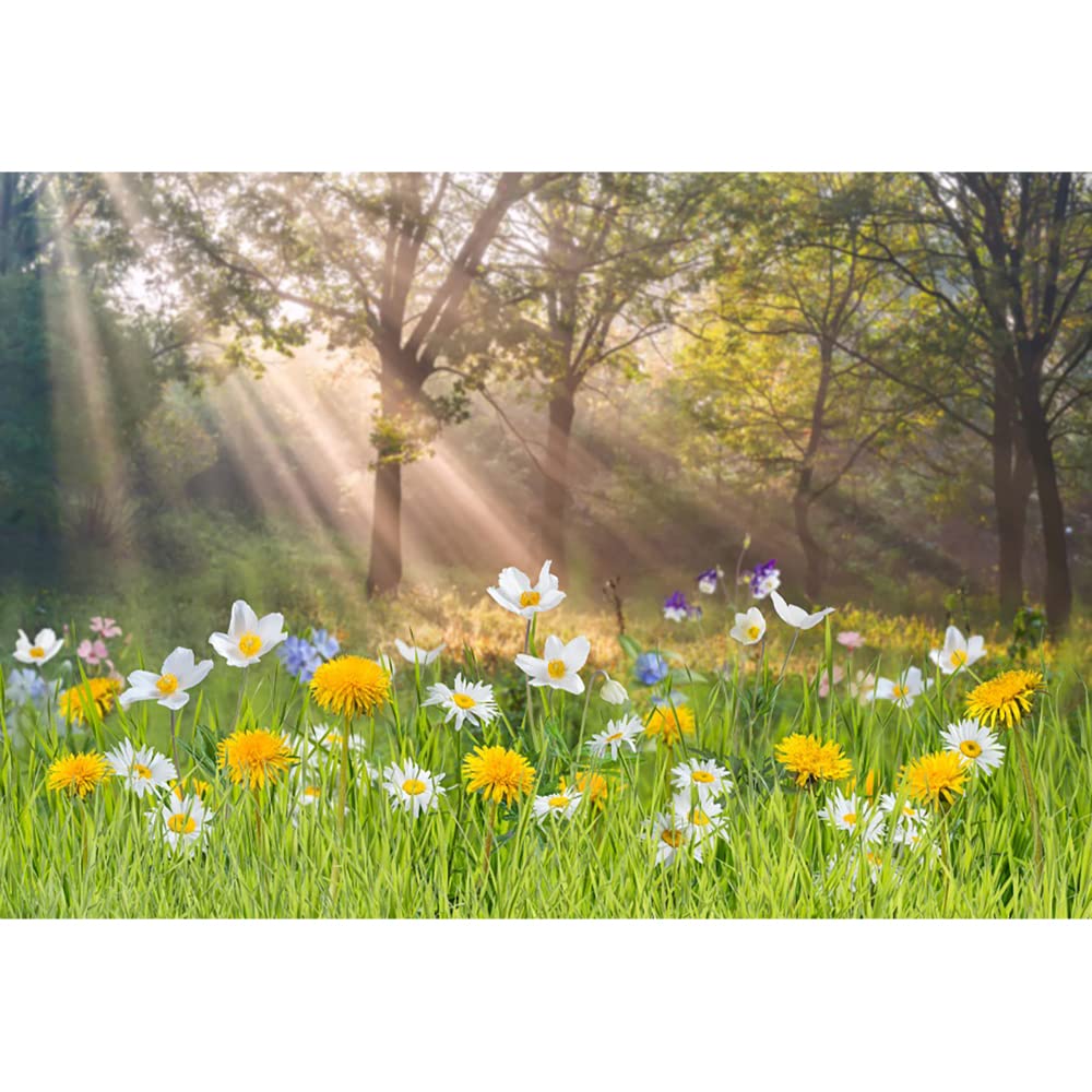 Aoihrraan 3,5x2,5m Spring Scenery Backdrop Flowers Green Grass Sunshine Forest Nature Landscape Photography Background Baby Shower Outdoor Party Decor Children Adults Portrait Photo Studio Props