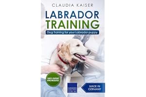 Labrador Training: Dog Training for your Labrador puppy