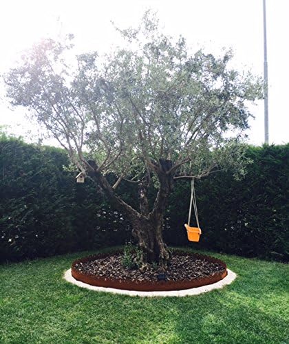 Bordura de acero Corten Modelo lirio: Amazon.es: Jardín