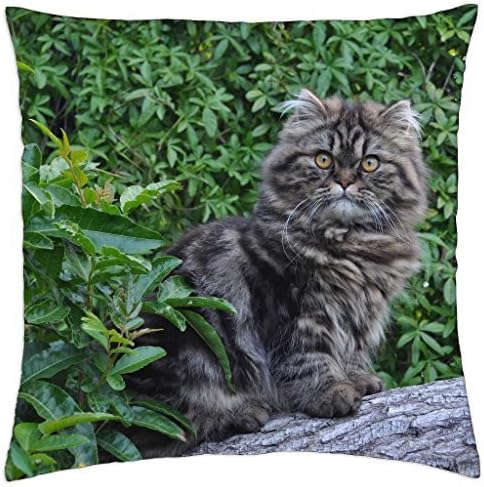 Champer - Throw Pillow Cover Case (18