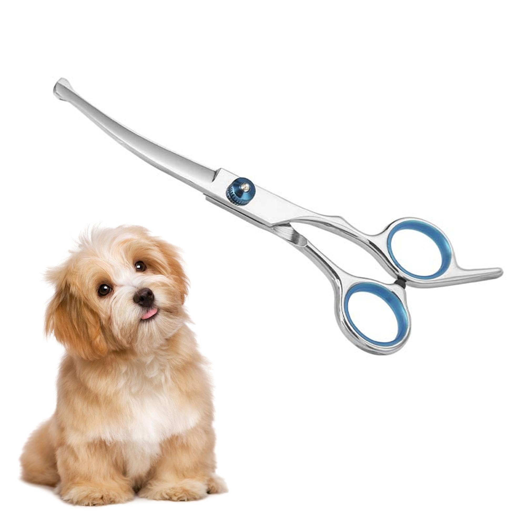 DOETYD Pet Grooming Scissors, Upper Curved Pet Grooming Scissors Set with Safety Rounded Tips, 6.7-Inch, Stainless Steel, Pet Cat and Dog Hair Trimming, Professional Pet Hair Care Tool.