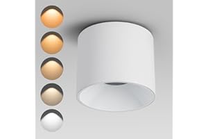 Ajbvp Modern LED Ceiling Spotlight 5CCT 4.72 inches 18W Dimmable Ceiling Light,2700K-5000K,for Living Room Spotlight Indoor(White)