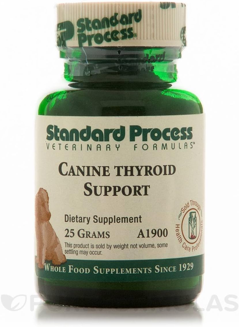 adopt a dog near me free