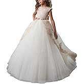 ABAO SISTER Fancy Flower Girl Dress Fancy Puffy Long Dress by Lace and Tulle Ball Gown for Wedding Communion