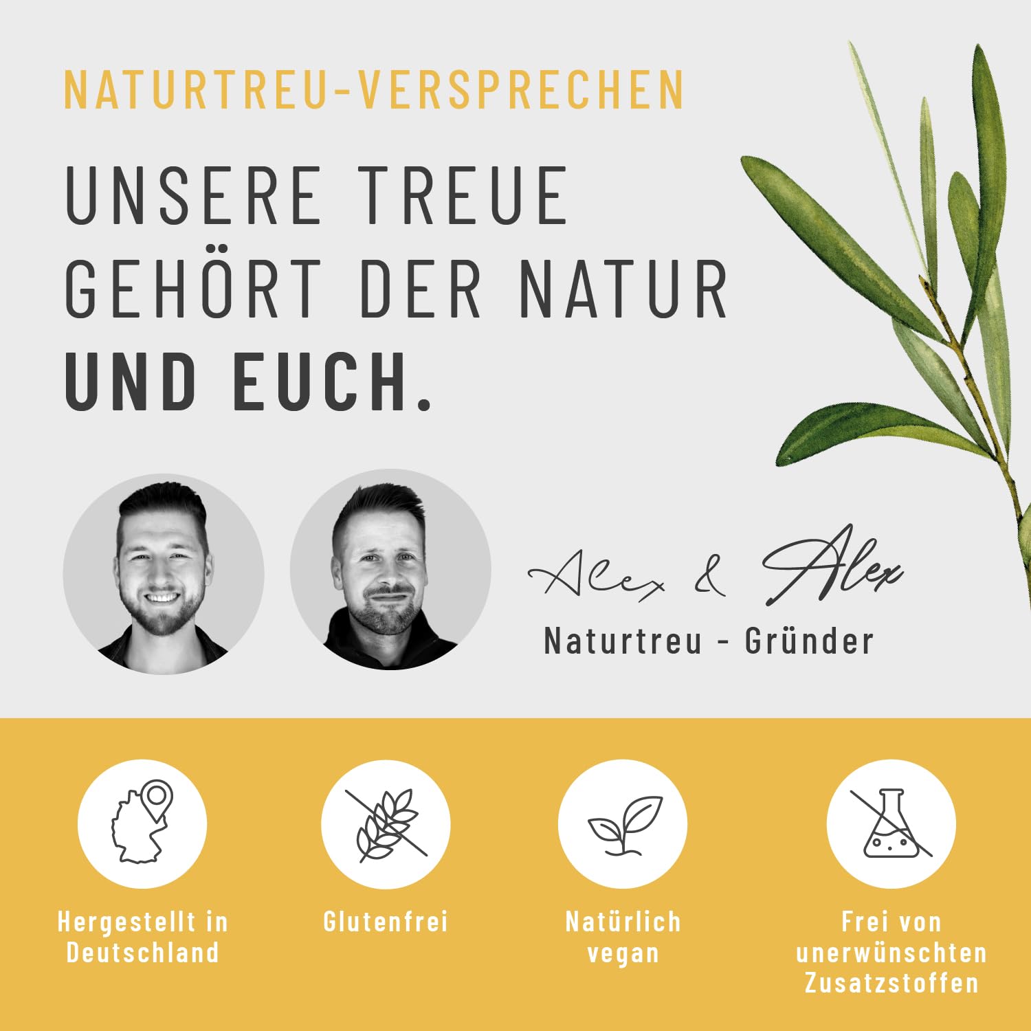 NATURTREU® Vitamin D3 K2 Tropfen hochdosiert & vegan - 100% pflanzlich (ohne tierisches Lanolin) - 1000IE Vitamin D + Vitamin K2 - Sonnenfreund 6