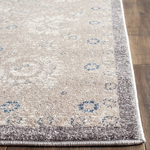 Safavieh Sofia Collection SOF330B Vintage Light Grey and Beige Distressed Area Rug (8' x 10')