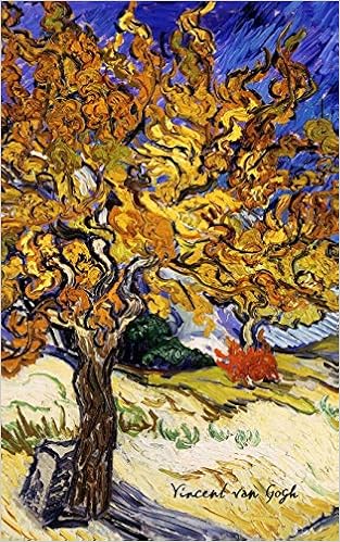 vincent van gogh amazon