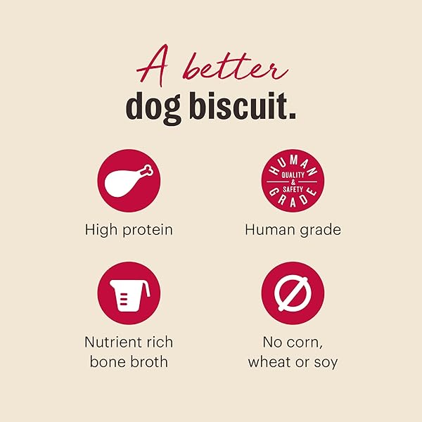 THE HONEST KITCHEN HUMAN GRADE DOG TREATS BONE BROTH BITES: ROASTED WITH TURKEY BONE BROTH & PUMPKIN, 8 OZ BAG