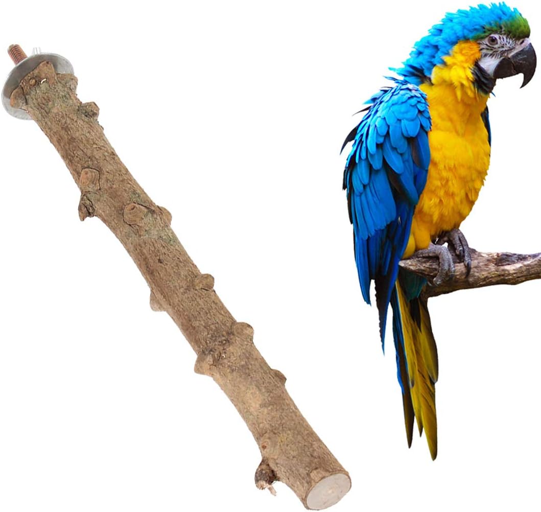 POPETPOP 3Pack Natural Wood Bird Perch-Parrot Wood Rough Perches Paw Grinding Stick - Image 4