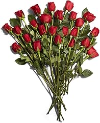 Floral Red Roses 24 Stem