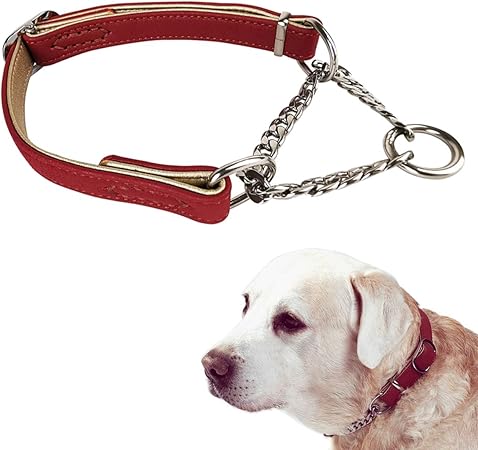 no slip dog collars