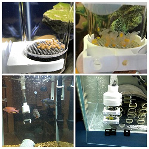 4 Senzeal+Aquarium+Cichlids+Incubator+Mouth+Brooding