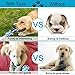 Lylyzoo Dog Chew Toy, Dog Rope Toy, Durable Interactive Cotton Toys Dental Health Teeth Cleaning for Small to Medium Dog