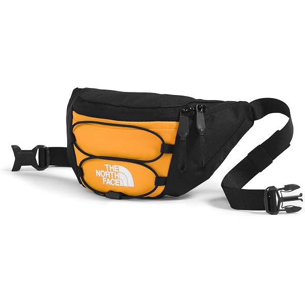 Amazon.com: The North Face Berkeley Lumbar Bag | Water  display picture 3