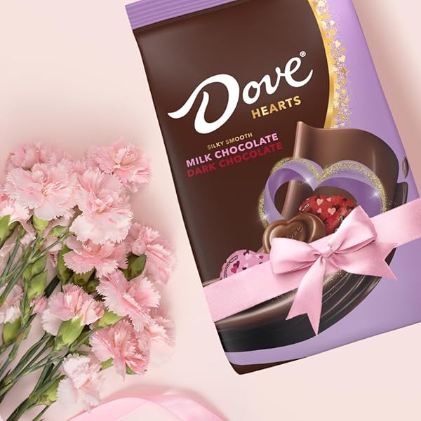 DOVE PROMISES MIXED HEART MILK CHOCOLATE & DARK CHOCOLATE, VALENTINE’S DAY CANDY HEARTS, 24.2 OZ BAG