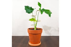 GOOOXIM 3PCS Indoor Plant Support – Durable Metal Garden Stakes for Monstera, Flowers & Herbs – 12.6 Inch Trellis for Indoor & Outdoor Plants, Easy-to-Use Support Structures