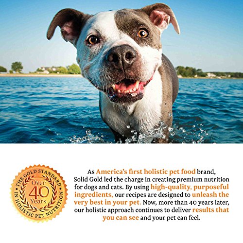 solid gold stop eating poop