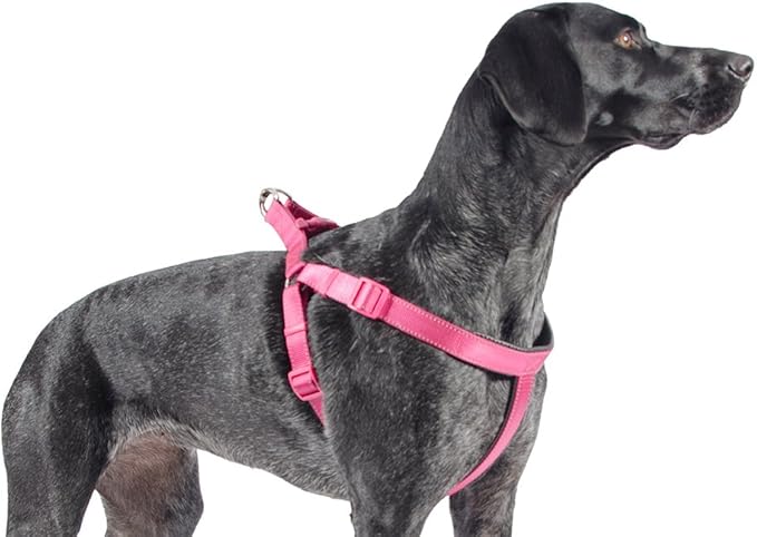 ancol harness size guide