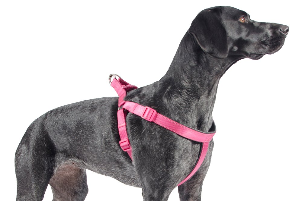 Ancol Padded Harness Black, Size Extra Large 88cm120cm Amazon.co.uk