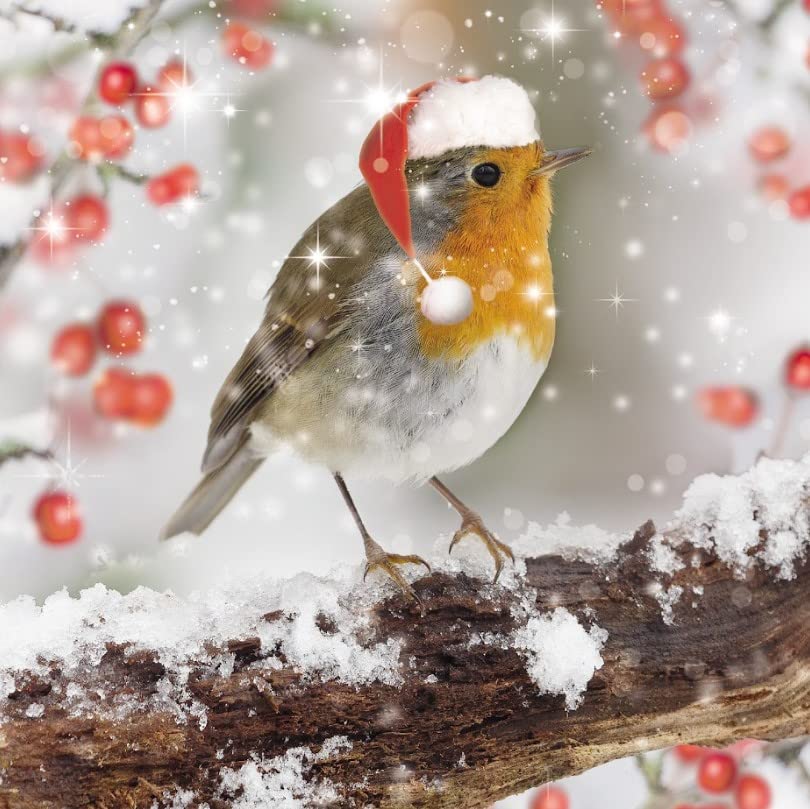 GBCC Charity Christmas Cards - Festive Robin in the Snow - Pack of 10 Premium Christmas Greeting Cards with Envelopes - Eco-Friendly & Recyclable - Supporting UK Charities