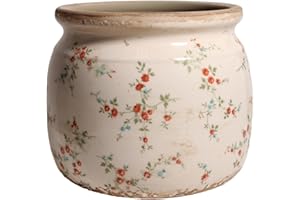 Xiaan Jiaju Ceramic Planters for Indoor Plants, Plant Pots with Drainage Hole, 6.29in. Flower Pots for Indoor Plants, Planters & Succulent Pots, Crackle Glaze Finish Plant Pots Indoor, Tiny Red