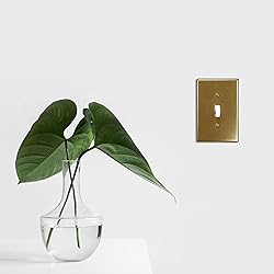 Questech Decor Single Toggle Light Switch