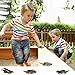 Dinosaur Toys Cars